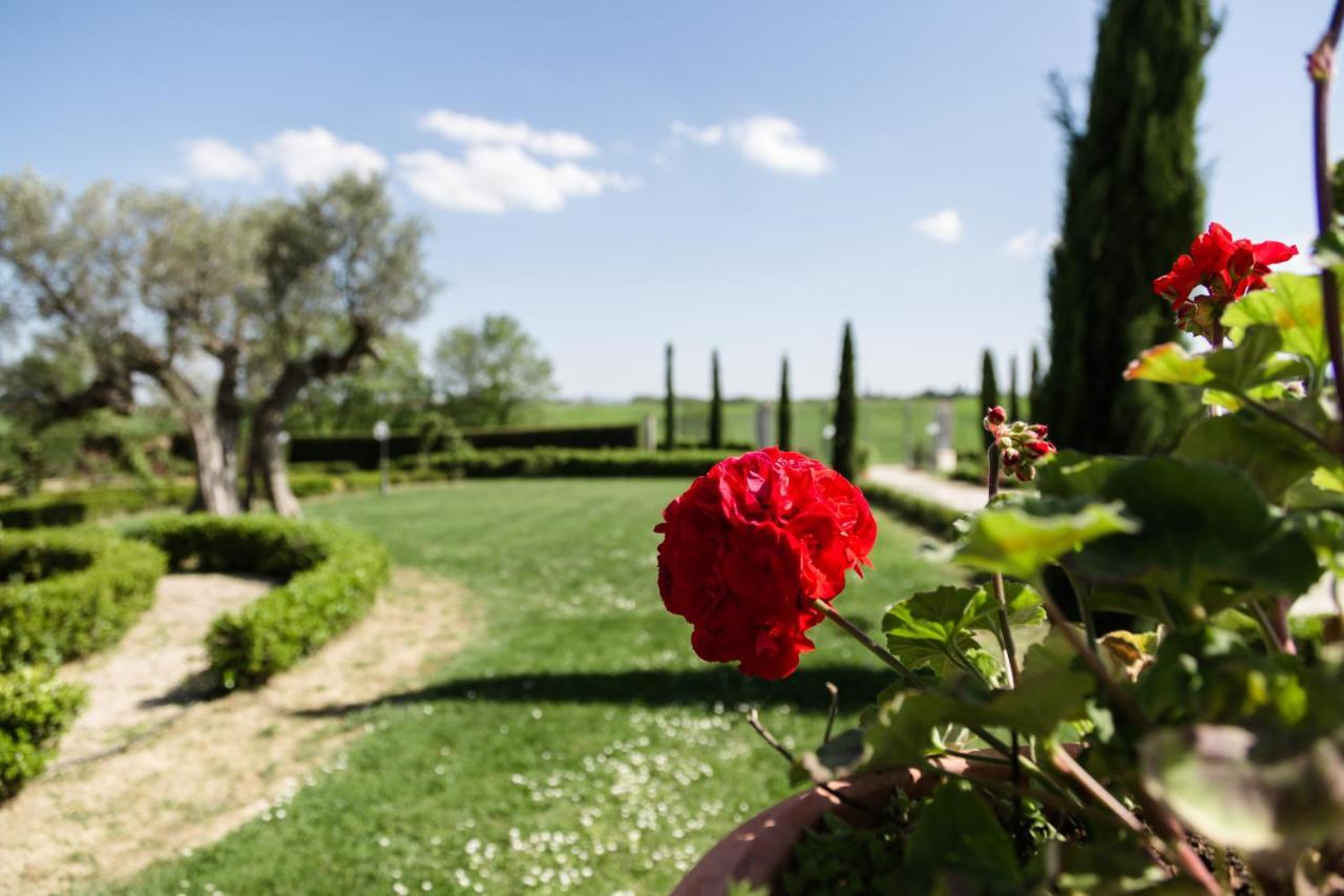 Podere San Giuseppe Bed & Breakfast Castiglione del Lago Exterior foto