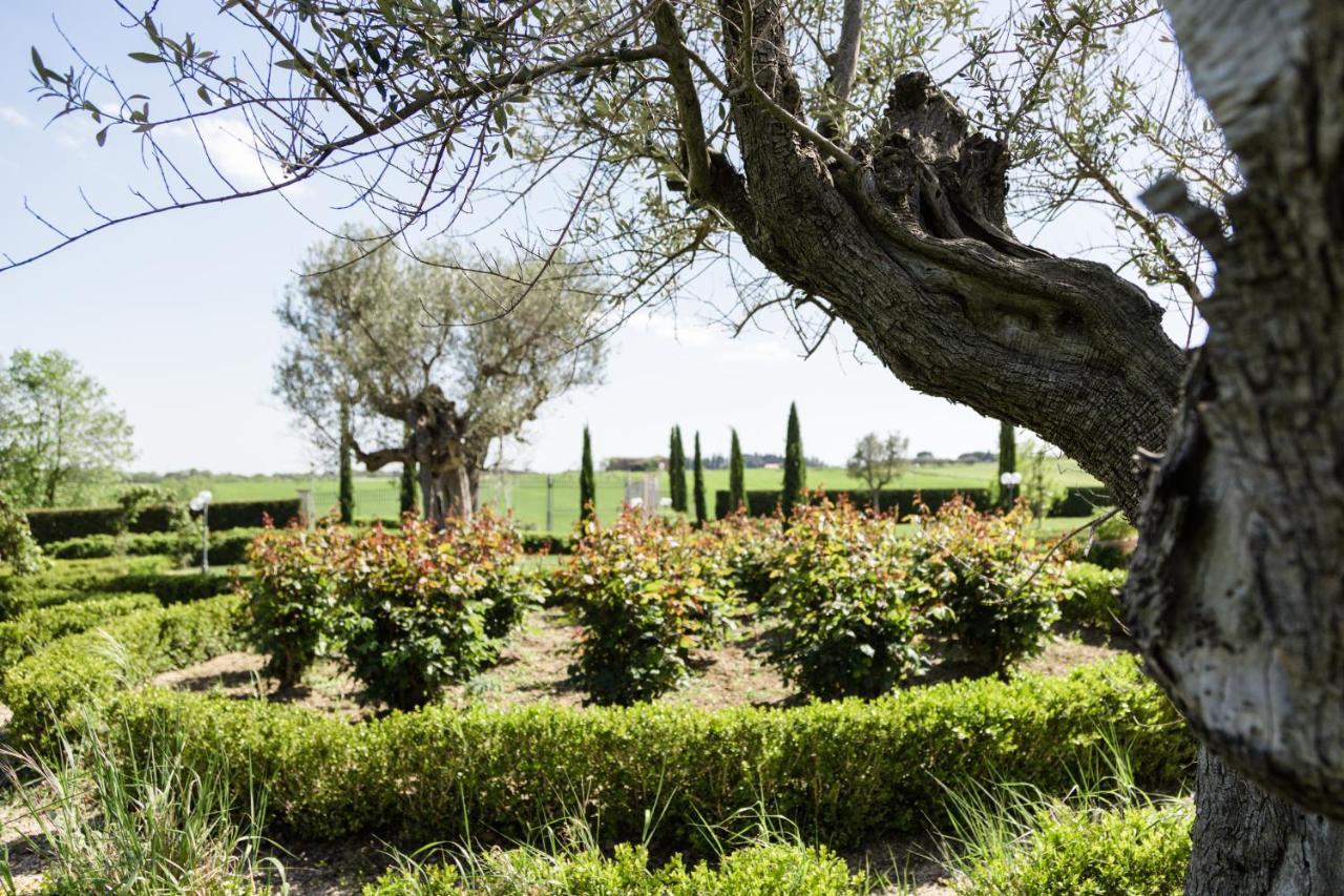 Podere San Giuseppe Castiglione del Lago Exterior foto