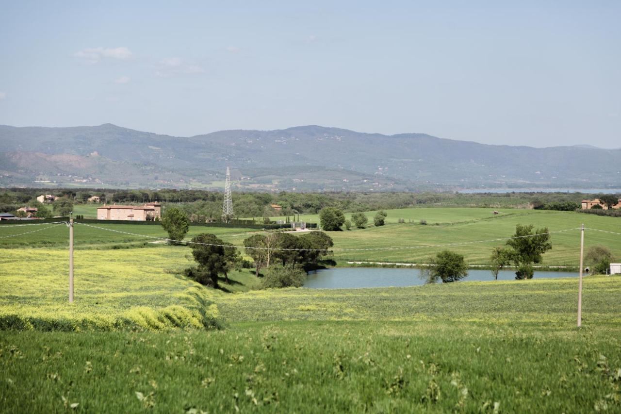 Podere San Giuseppe Bed & Breakfast Castiglione del Lago Exterior foto