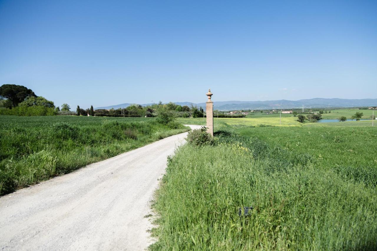 Podere San Giuseppe Bed & Breakfast Castiglione del Lago Exterior foto